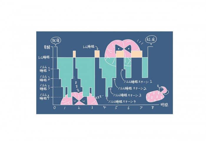 「睡眠は90分単位が良い」は間違い？ “眠りの常識”Q＆A