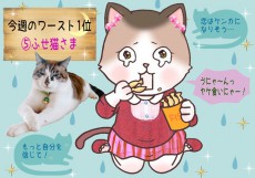 【猫さま占い】恋愛運ダウンの猫さまは？ 10月28日～11月3日運勢ランキング