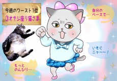 【猫さま占い】災いを呼ぶ猫さまは？ 3日～9日運勢ランキング