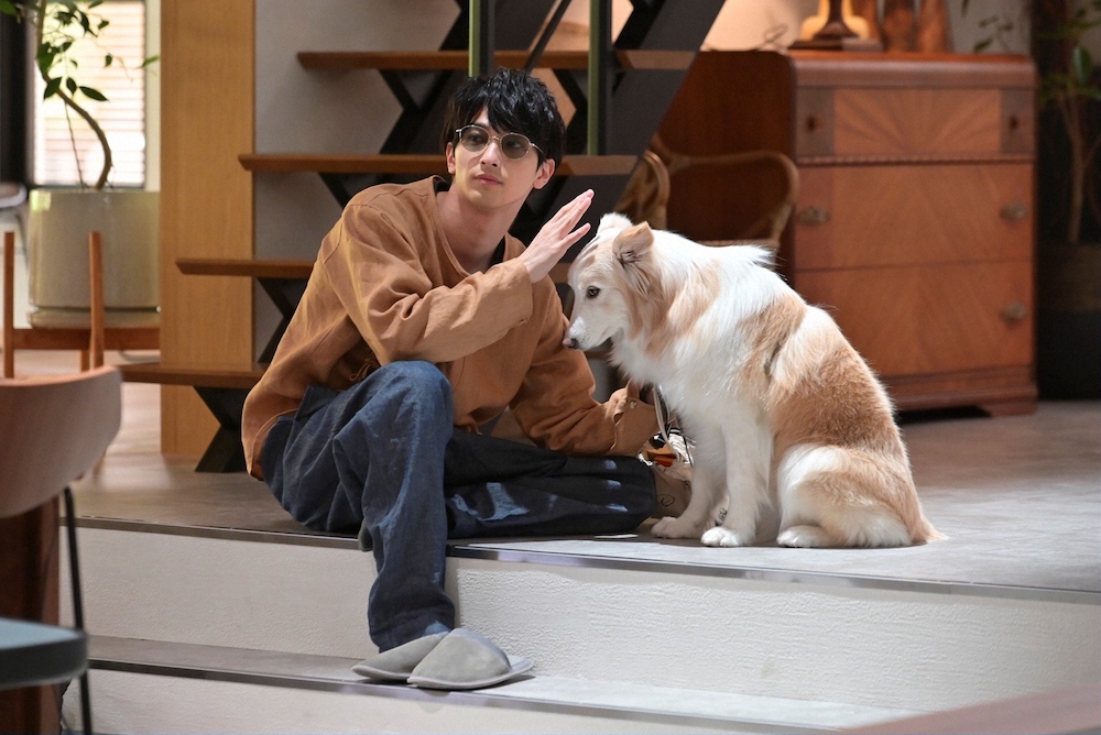 川口春奈と横浜流星が出会うには理由があって！『着飾る恋には理由が