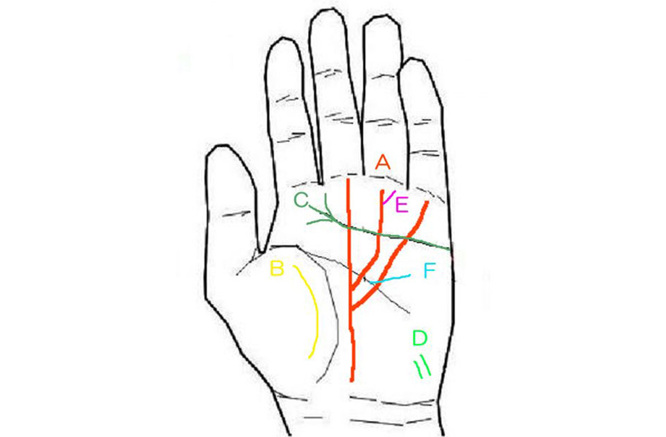 “強運の持ち主”の線はどれ？ 手相でわかる「人生が大成功するサイン」