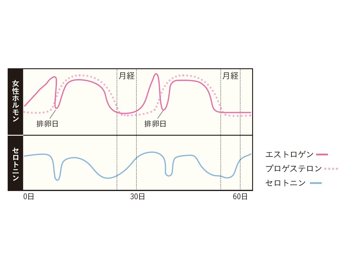 月経～排卵の間は脳のパフォーマンスUP！ “脳と月経周期”の密接な関係