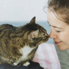 靴下を履いているみたいでしょ…飼い主に溺愛される猫さまの悲しい過去