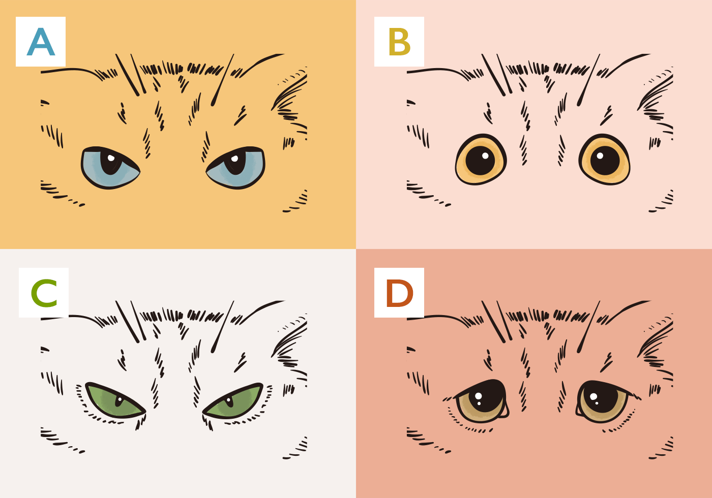 うさぎ猫さま　専用ページ 猫さまとの仲が良くなる！ 猫さまの目の形でわかる、性格と対処法
