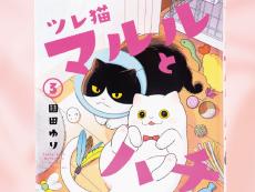 猫マンガファン涙！ 猫と人間の関わりを考えるきっかけにもなる『ツレ猫 マルルとハチ』