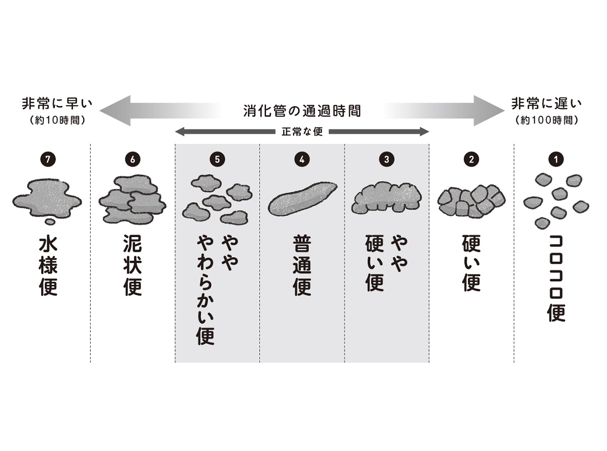 あなたの便のタイプはどれ？ 腸の状態を教えてくれる“観便”とは｜Infoseekニュース