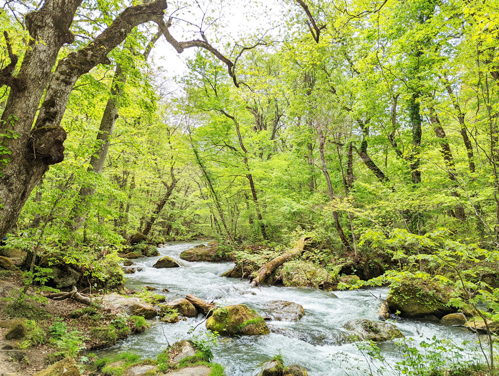 「非日常すぎる絶景です…！」旅好き女性が激推し「一生に一度は行くべき美景＆観光スポット」7選