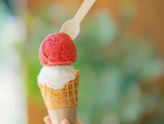 東京で見つけた【最新アイスクリームショップ】 季節のフルーツソルベやハーブが主役の自然派も！