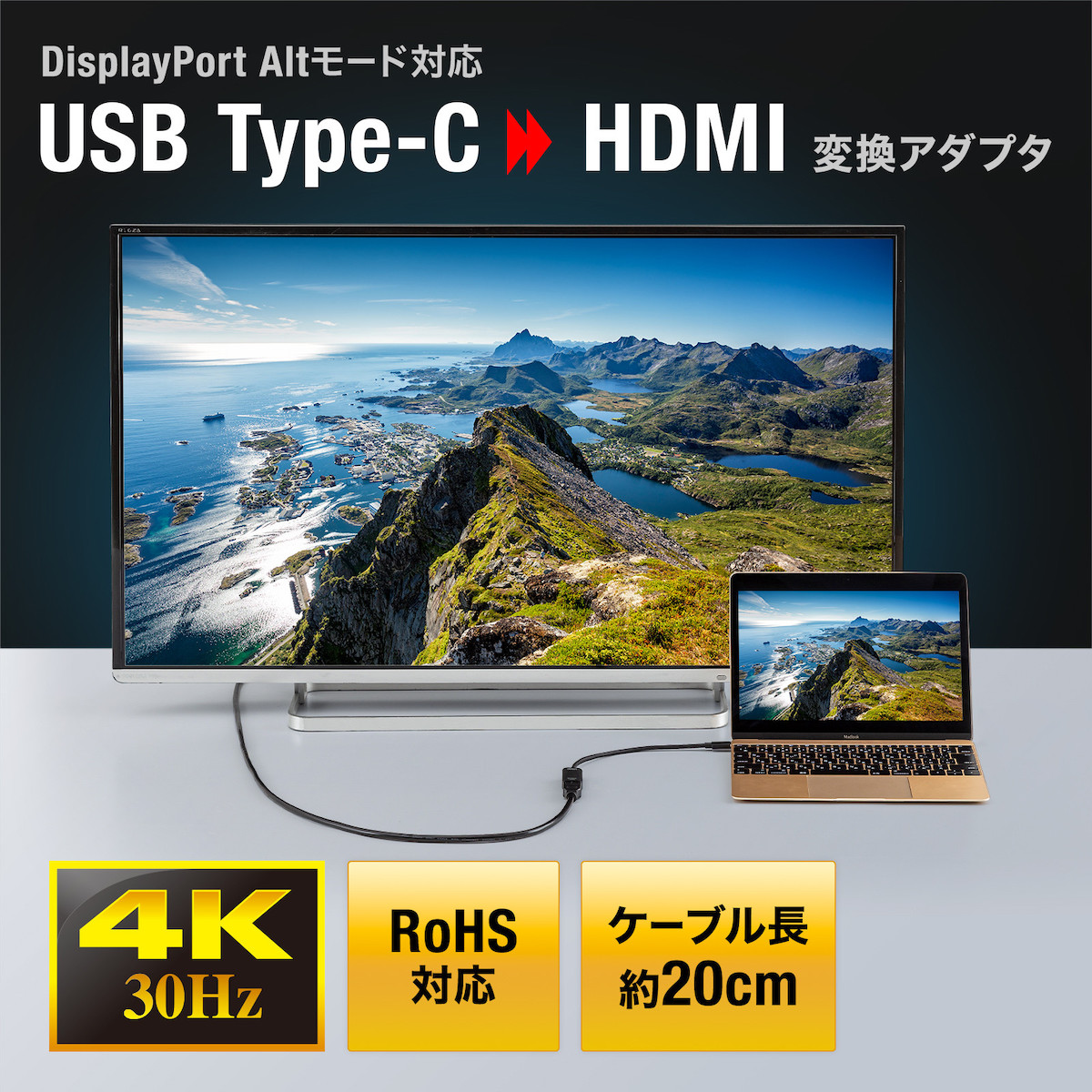 サンワサプライ、DisplayPort Altmodeに対応したUSB Type-Cポート＞HDMI変換アダプターを発売