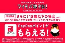 ワイモバイル、18歳以下に最大1万円相当のPayPayポイントプレゼント　オンラインストア限定