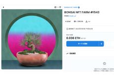 デジタルアートの新時代、「盆栽NFT」はデジタルで楽しむ盆栽です