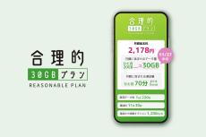 月2178円で30GB＋通話定額付き！ 日本通信SIM「合理的30GBプラン」に実際に加入、ホントに高コスパ？