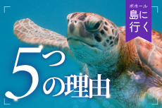 海好きが感動する「ボホール島」に家族で行くべき5つの理由