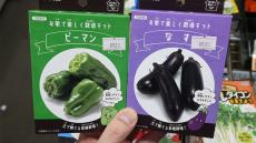 アキバでなぜか人気のコンパクトな鉢で野菜を育てる「エコ栽培キット」