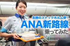 【新路線】羽田→ストックホルム便　ANA新路線が快適すぎる件【スウェーデン】✈️