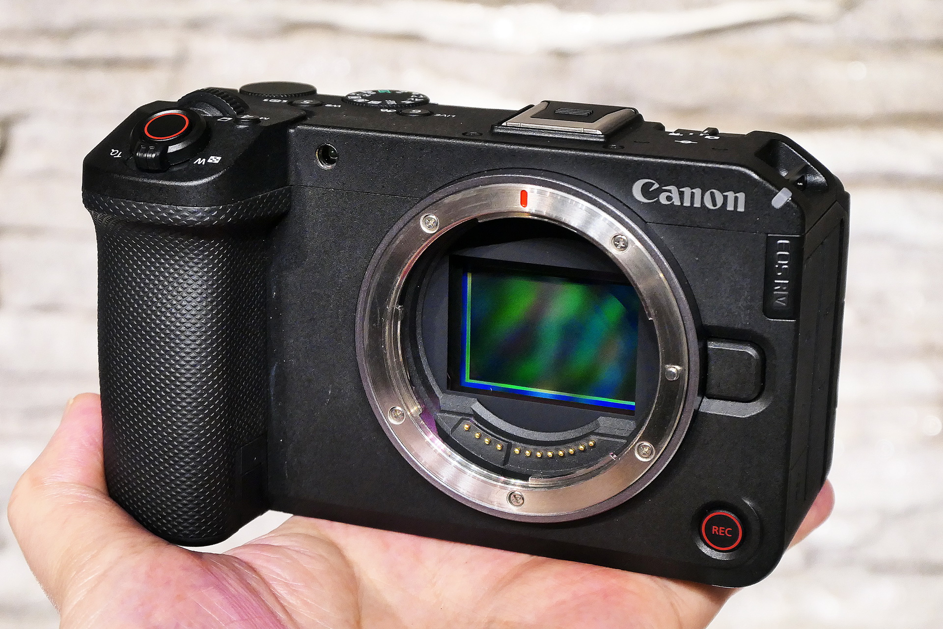 【新品】EOS-R6もしくは美品EOS-R5 発表会速報：キヤノンが最強動画ミラーレスカメラ「EOS R6 V」と凝り