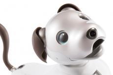 ソニー「aibo」アイボリーホワイト、販売終了へ サポートは継続