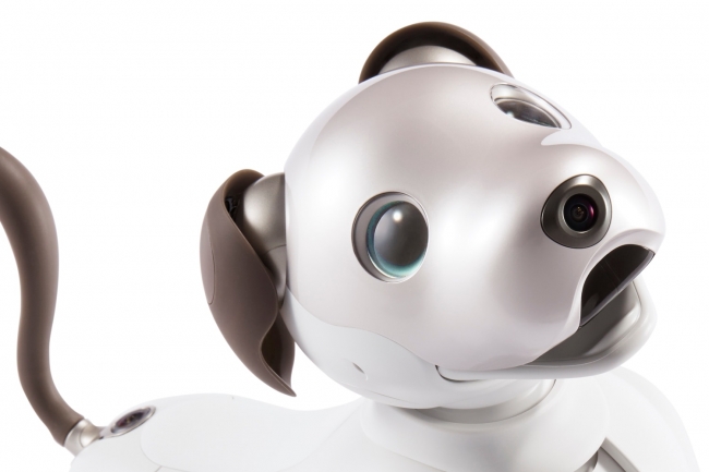 ソニー「aibo」アイボリーホワイト、販売終了へ サポートは継続
