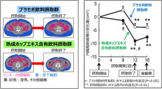  キリン、熟成ホップエキスの体脂肪低減効果を確認 