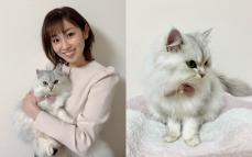 元タカラジェンヌ登場♡もふもふ癒し系の美猫MIUちゃん＜癒しのわんにゃん＞