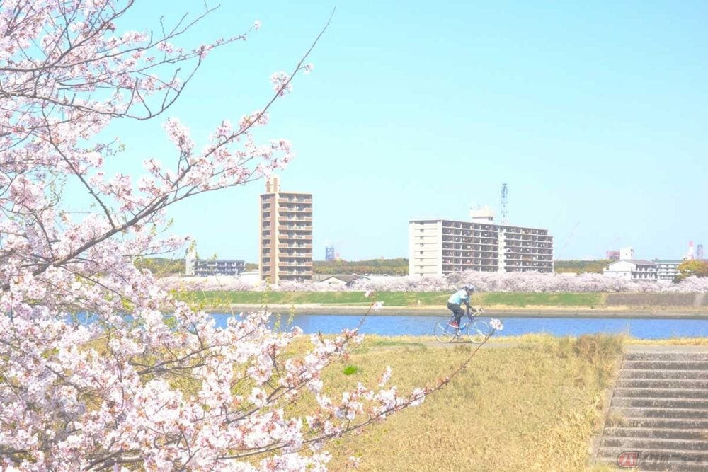 はじめてでも大丈夫！ もしもの時に備えて自転車保険に加入してみよう