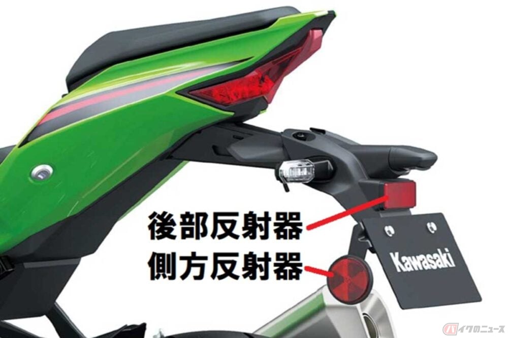 クマ 51cHjhFUoKL._AC_UF350,