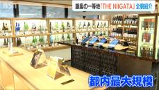 東京銀座に8日誕生の新アンテナショップ『THE NIIGATA』「都内最大規模の日本酒試飲スペース」など新潟の魅力がギュッと