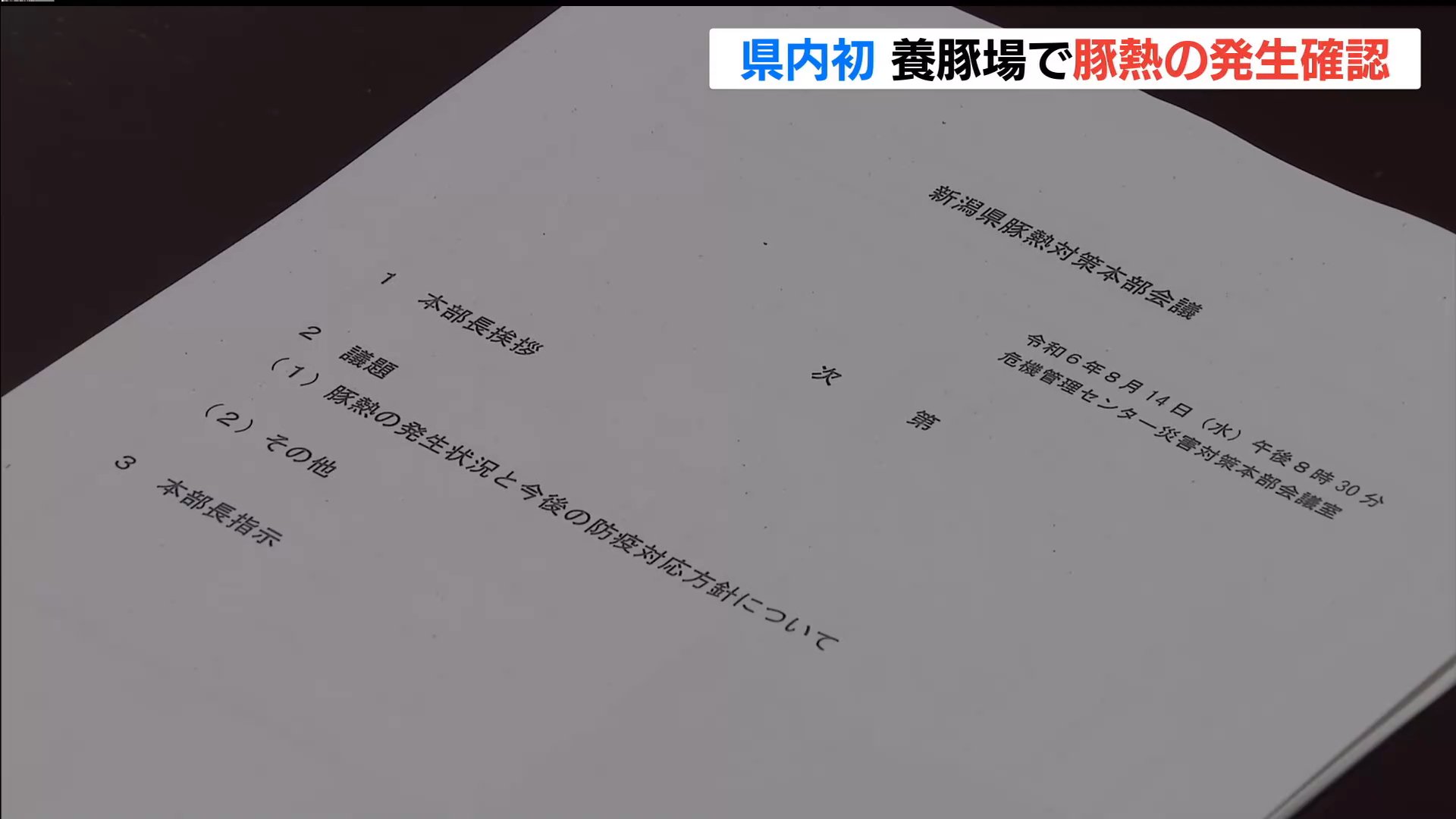 新潟県内で初の『豚熱』感染が確認された養豚場のブタおよそ450頭は15日夕方から処分