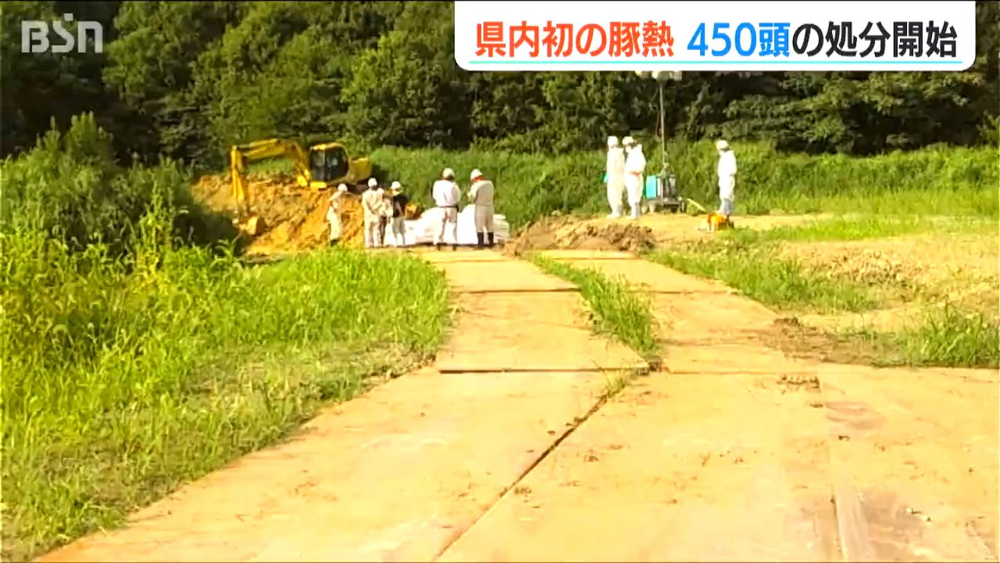 “豚熱”感染拡大防止のため『私たちが気をつけなければいけないこと』野生動物からウイルスが持ち込まれるリスク