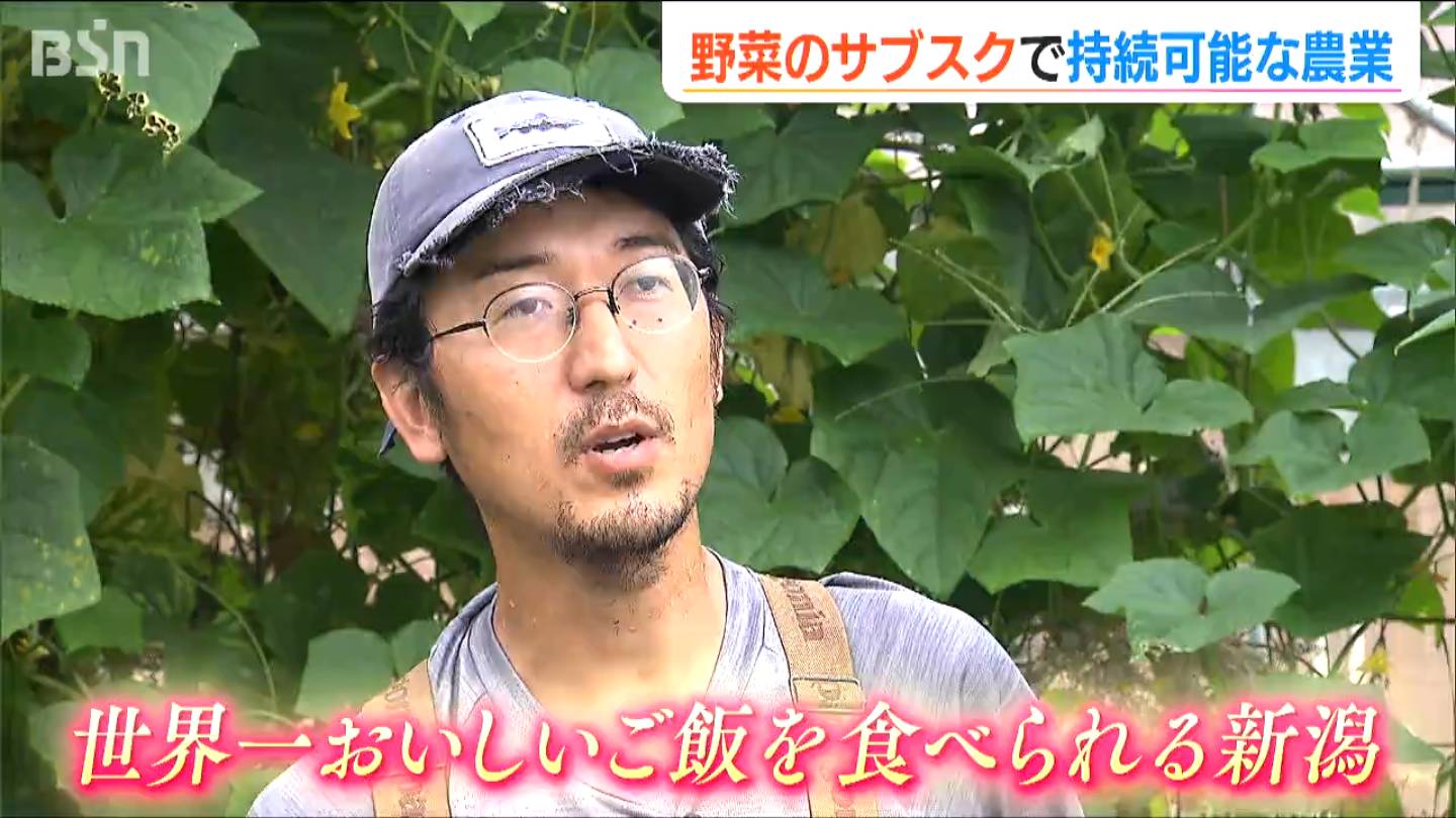 「世界一おいしいごはんを食べられる新潟をつくる」 “野菜のサブスク”で農家と消費者がともに“未来の農業”を目指して