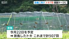 トキの放鳥に向け天敵対策された仮設ケージで7羽を2週間飼育へ　新潟・佐渡市