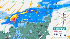 新潟県では非常に雷を伴って激しい雨が降っている所も　15日夕方にかけて土砂災害や低い土地の浸水などに警戒を【今後の雨風のシミュレーション・15日午前11時半更新】