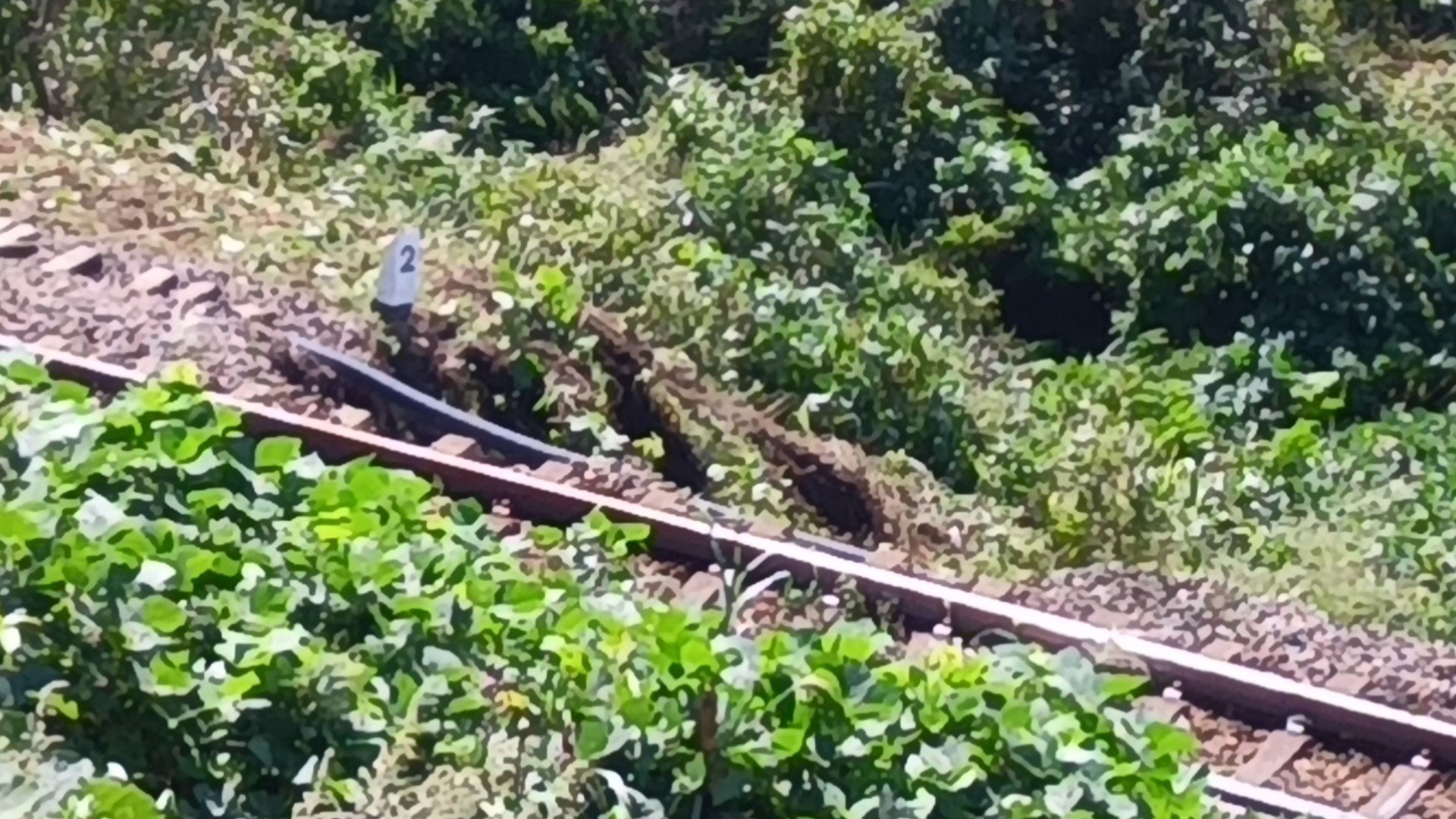 JR羽越線の線路脇崩落「復旧には相当な時間がかかる」記録的大雨で被害も　新潟・村上市