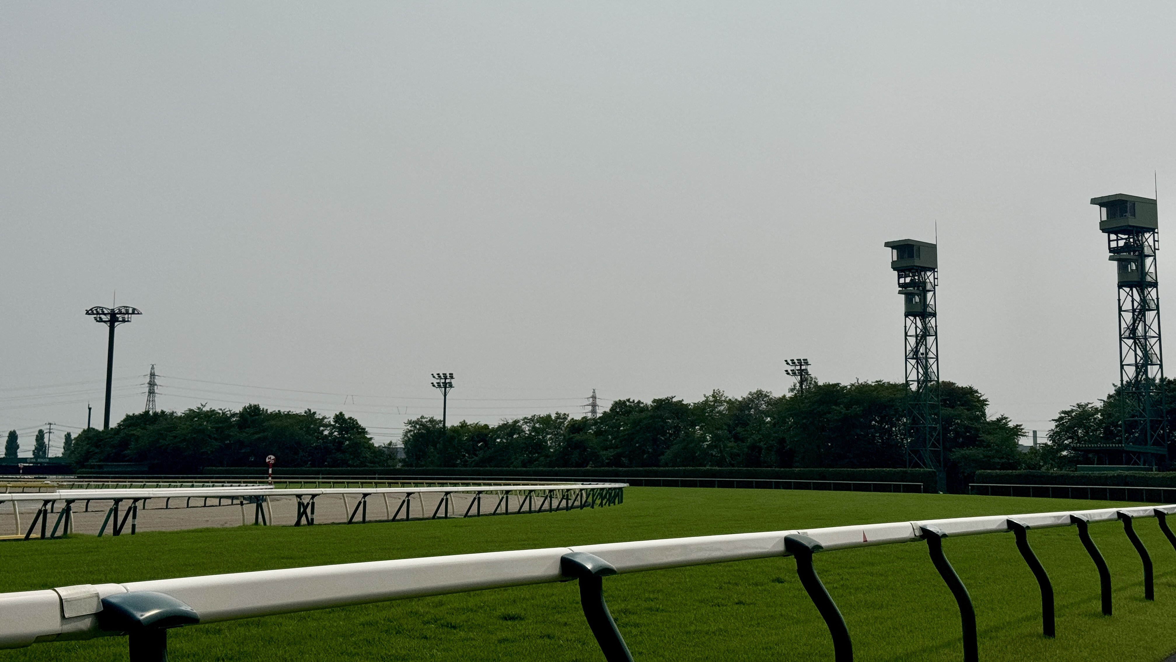 JRA日本中央競馬会が2025年の開催日程を発表　新潟競馬場は春・夏・秋の4開催24日間予定　夏の重賞は『関屋記念』から