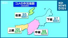 新潟県全体のコメの“作況指数”は「98」で『やや不良』予想収穫量は去年より増加も 田植え後の低温で平年よりは少なく(9月25日現在)