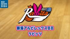 新潟アルビレックスBBラビッツ　姫路イーグレッツに71対40で勝ち開幕2連勝　Wリーグ・フューチャー　