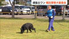 「足跡追及に臭気選別テスト」行方不明者の捜索に大活躍 嘱託警察犬審査会　新潟