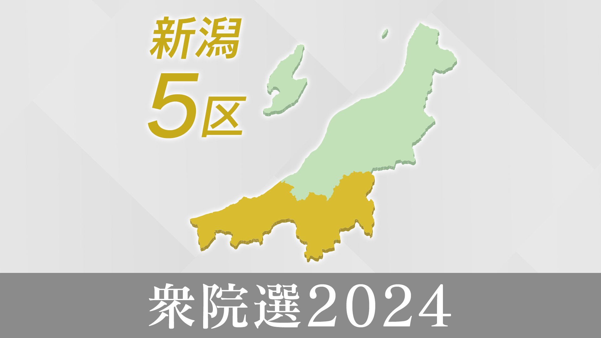 『新潟5区』互いに“懸念”を抱える前職同士の一騎打ち 双方の訴えは？【衆院選】