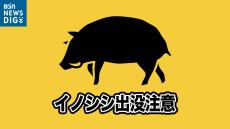 住民と警察官が目撃　国道付近で体長1メートルのイノシシ　近くには公園や民家なども　新潟・西蒲区