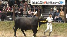 全村避難の被災地 旧山古志村「絆深めて 人も牛も次の世代に」【中越地震から20年】