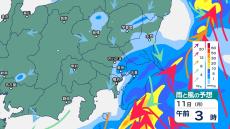 関東甲信では11日朝にかけて“バケツをひっくり返したような”激しい雷雨の所も　雨雲が予想以上に発達した場合は“警報級大雨”の恐れ【今後の雨風シミュレーション・10日午後8時半更新】