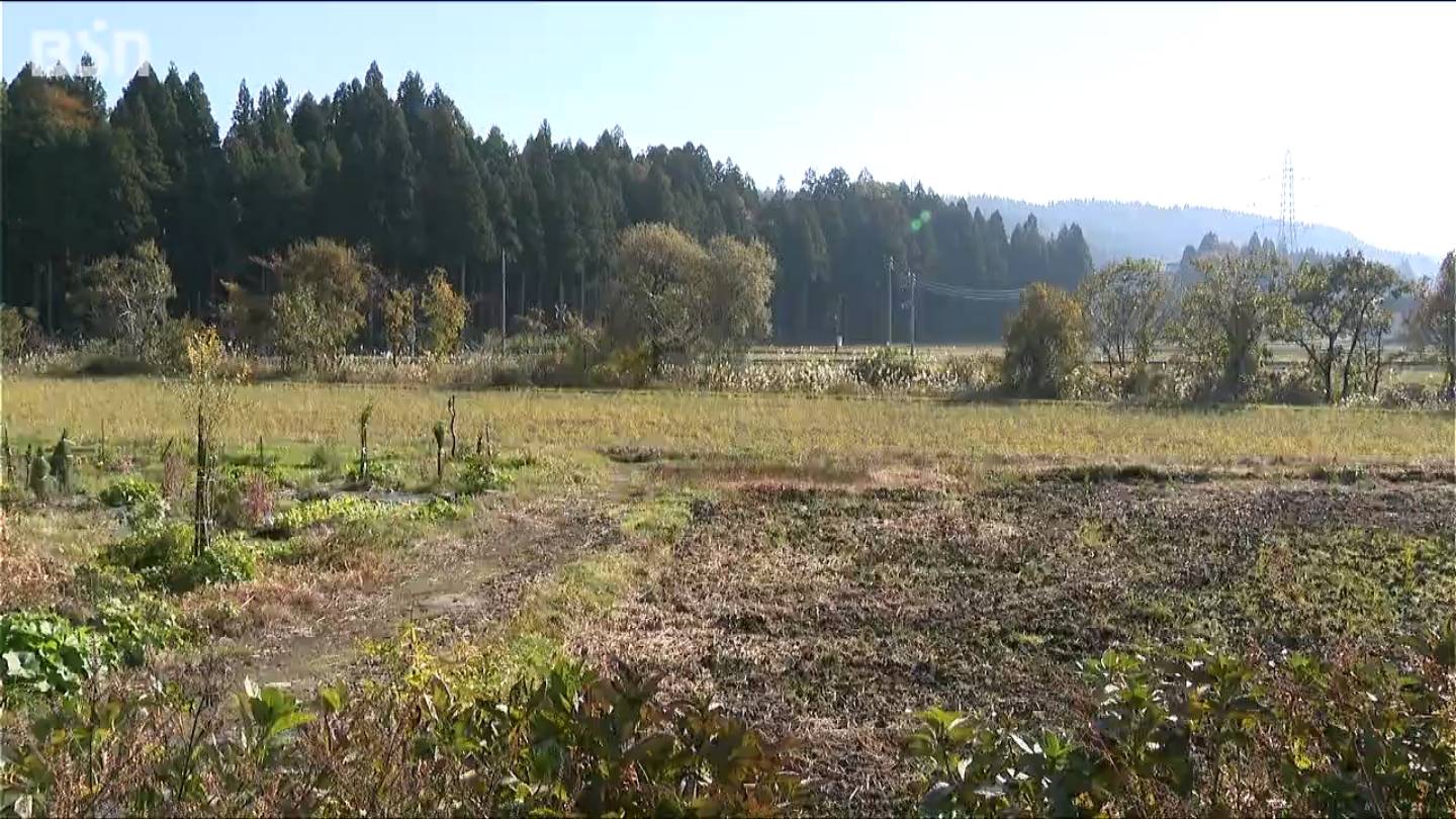 「クマにひっかかれた」80代女性が畑でクマに襲われる　頭から顔にかけて20センチほどの傷2か所　新潟・十日町市