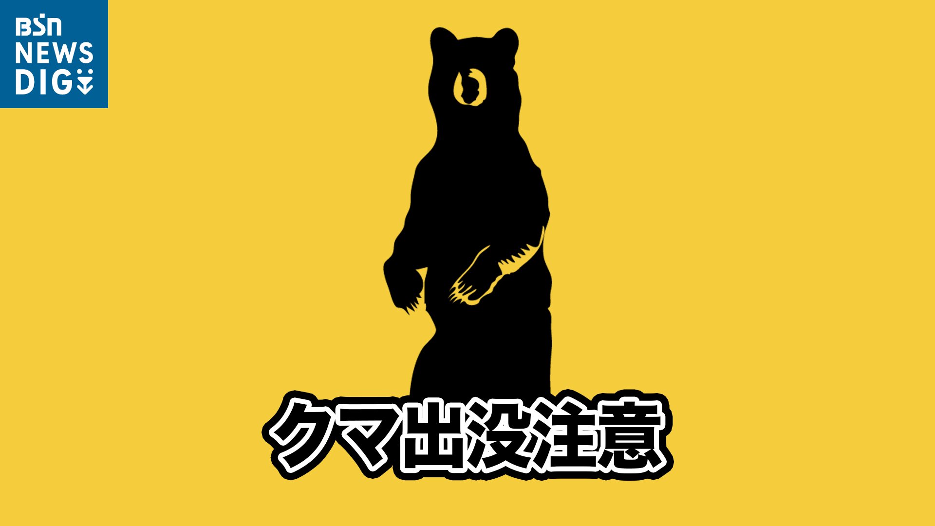 「主人がクマに襲われた」キノコ採り中の男性が顔などにけが　新潟県内で人身被害相次ぐ