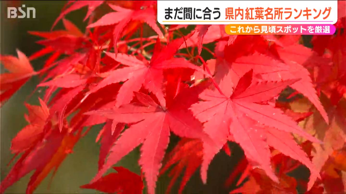 新潟の“まだ間に合う”紅葉名所ランキング　大地主の庭園や吊り橋と渓谷美のコントラストも　