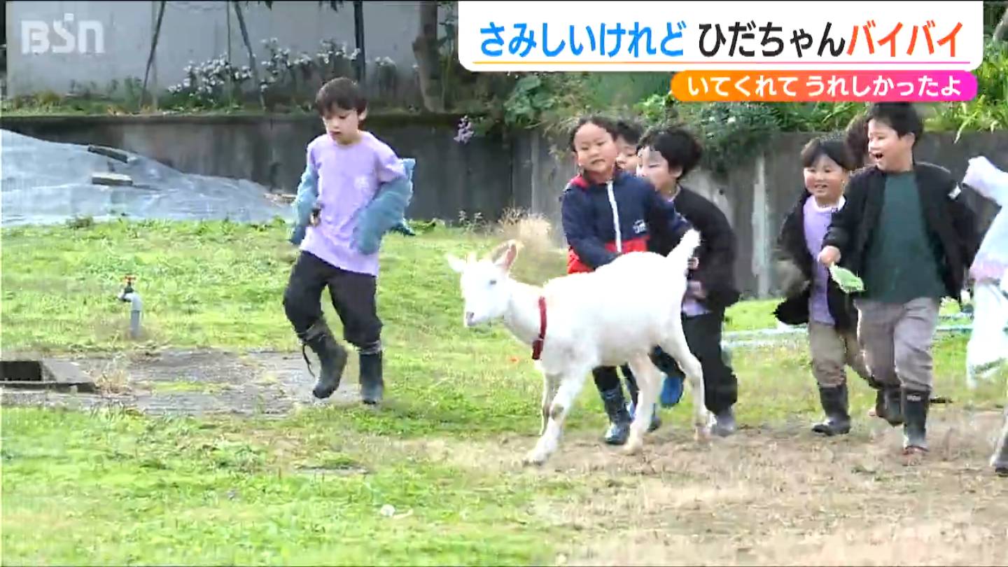 「別れの時が…泣くのをこらえて…ありがとう！」ヤギのひだちゃん卒業式  新潟・妙高市