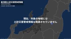 【土砂災害警戒情報】新潟県内に発表された土砂災害警戒情報は全て解除　引き続き大雨警報は発表中（29日午前9時30分　新潟県・新潟地方気象台発表）