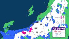 今後の雪や雨は？ 8日午後6時まで【30分ごとの雨雪シミュレーション】 新潟県内は雨や雪が強まる時間帯も… 中越・上越では土砂災害に警戒（8日午前10時更新）