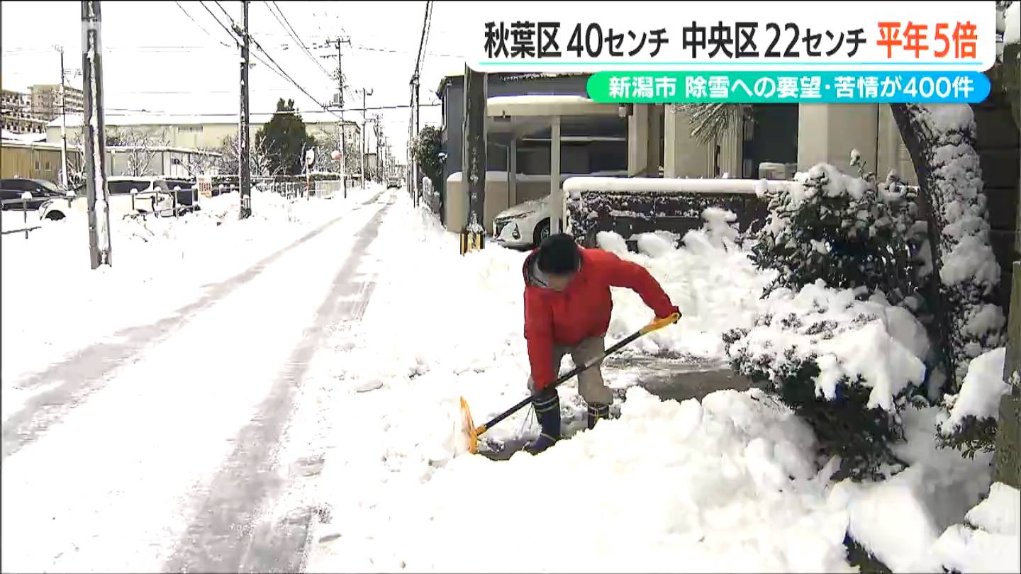 市街地でも“平年の数倍”の積雪 市民生活に影響も　3連休はどうなる？新潟県内