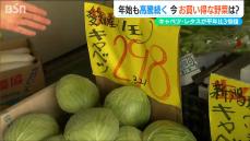 「根菜類は気候の影響をあまり受けず」高騰続く野菜　今買うべきものは？