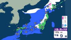 今後の雨や雪はいつ、どこで？ 10～11日は北海道や東北の日本海側・北陸で大雪やなだれに注意　13日頃から再び冬型の気圧配置が強まる？【3時間ごとの雪と雨のシミュレーション・9日午後8時更新】